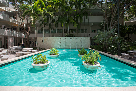 Fountain at the University of Miami